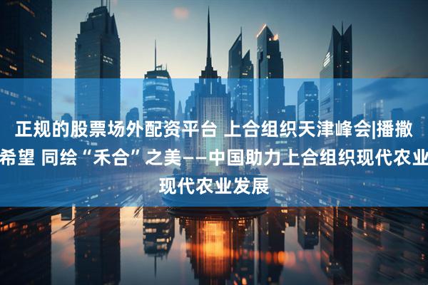 正规的股票场外配资平台 上合组织天津峰会|播撒丰收希望 同绘“禾合”之美——中国助力上合组织现代农业发展