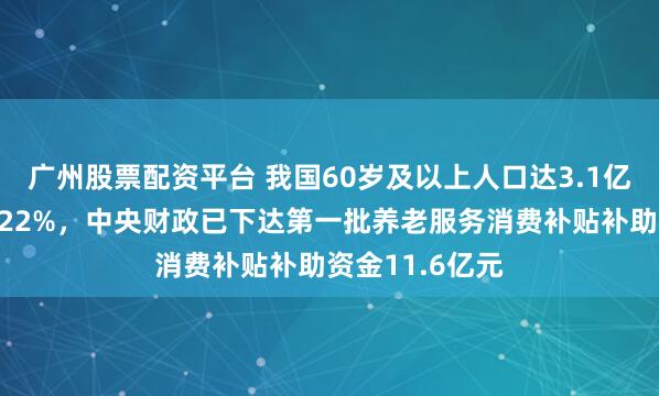 广州股票配资平台 我国60岁及以上人口达3.1亿,占总人口的22%,中央财政已下达第一批养老服务消费补贴补助资金11.6亿元