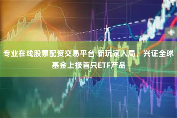 专业在线股票配资交易平台 新玩家入局，兴证全球基金上报首只ETF产品